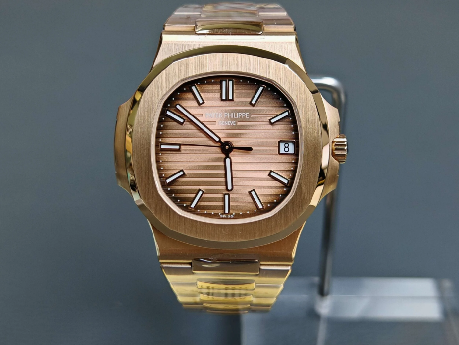Nautilus braun
