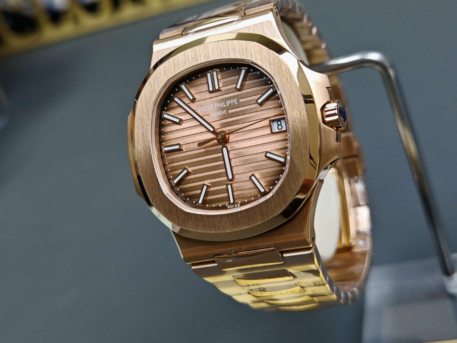 Nautilus braun