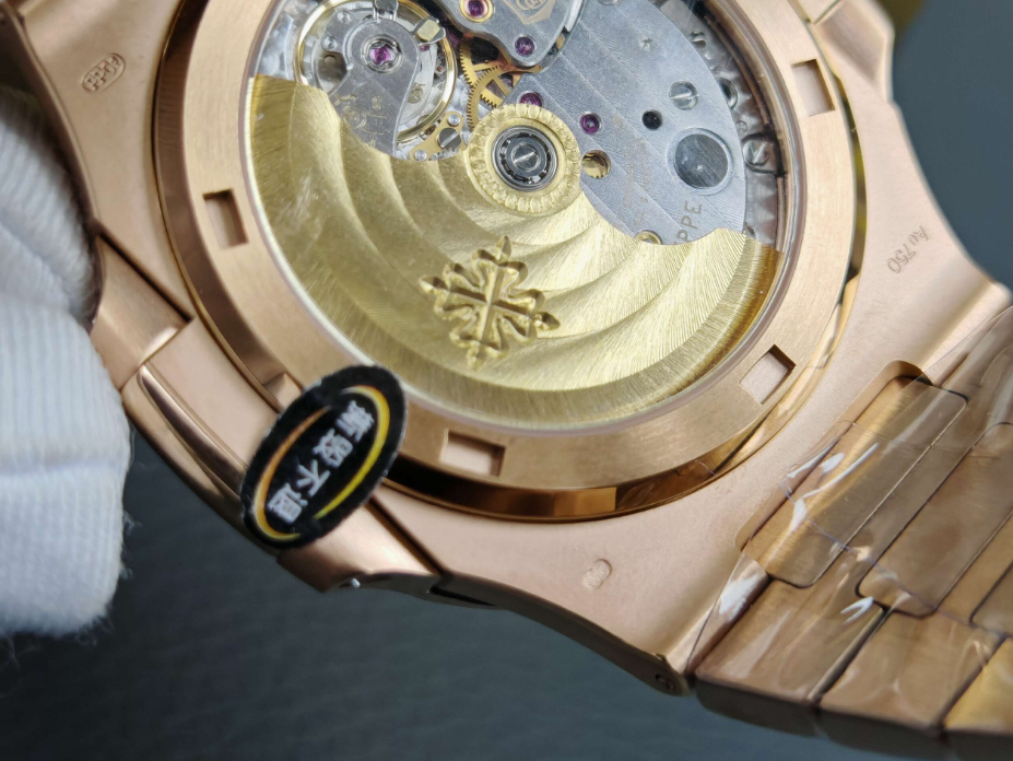 Nautilus braun