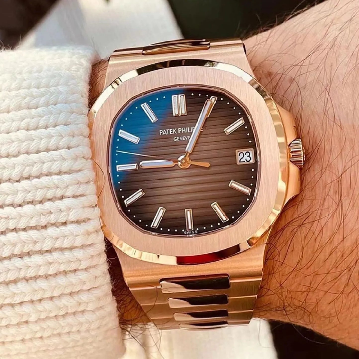 Nautilus braun